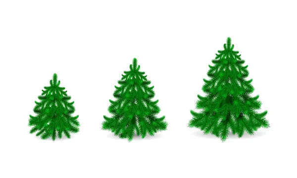 Green Fir Trees Pines Small Big Sizes Decor Isolated White — Stock Vector