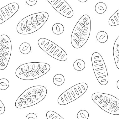 Siyah ve beyaz düz desenli, elle çizilmiş çörekler, somunlar.