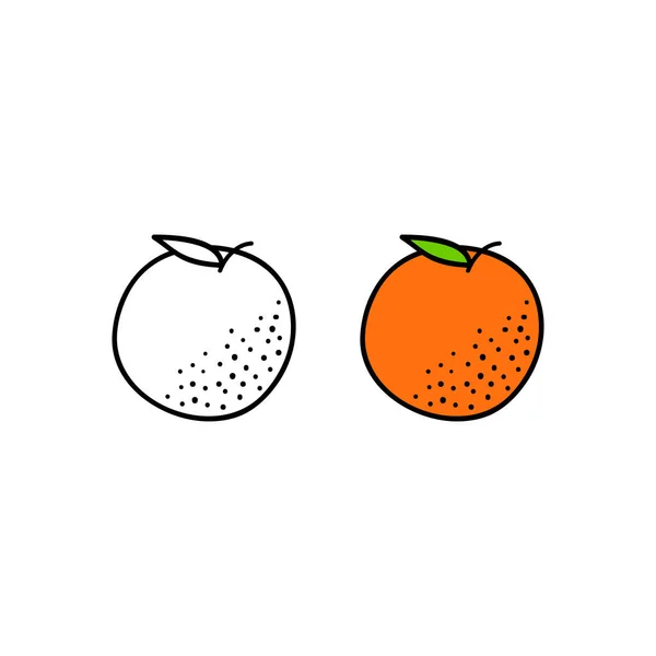 Doodle Vázlat Színes Narancs Gyümölcs Levél Elszigetelt Fehér Alapon — Stock Vector