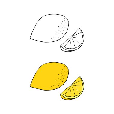 Beyaz arkaplanda el çizimi ve renkli limon meyvesi izole.