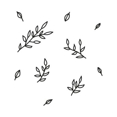 Beyaz arkaplanda izole edilmiş yaprak dalları ve yapraklar.