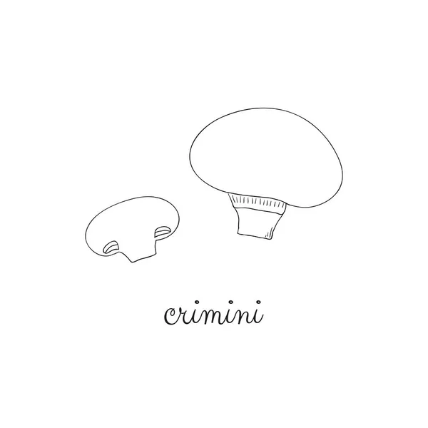 Doodle Contour Crimini Champignons Isolés Sur Fond Blanc — Image vectorielle