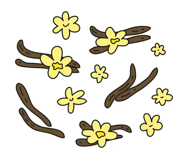 Beyaz Arkaplanda Karalama Renkli Vanilya Çubukları Çiçekler Var — Stok Vektör