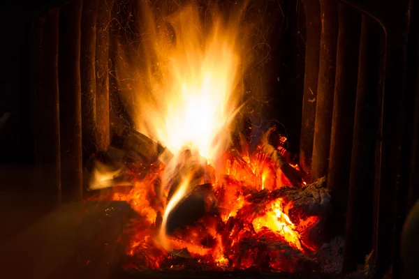 Dry firewood in flames. Stock Picture