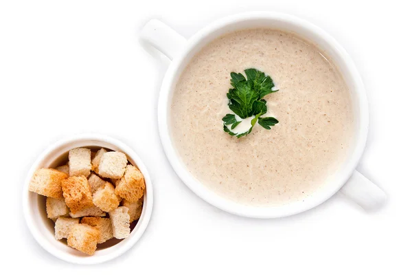 Pilzcremesuppe isoliert auf weiß — Stockfoto