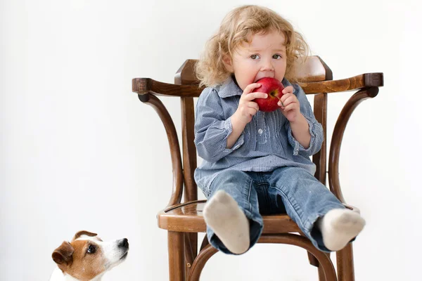 Criança come maçã pouco cão olhando isolado — Fotografia de Stock