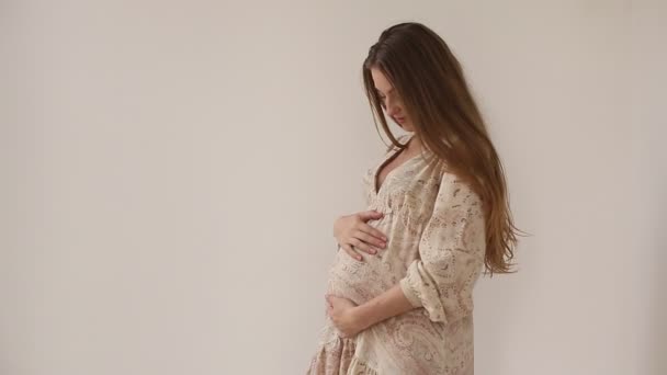 Silhouette femme enceinte tenant son ventre — Video