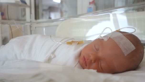 Pasgeboren baby slapen op een infuus in een ziekenhuis — Stockvideo