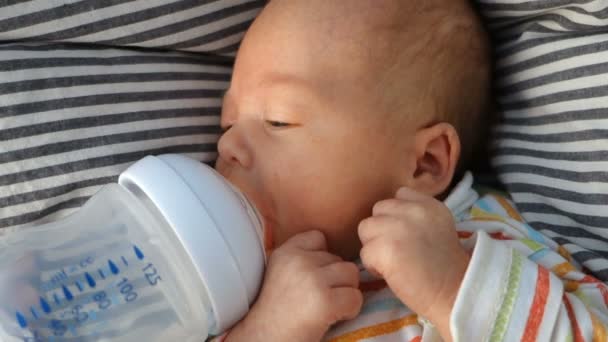 Newborn baby sucks pacifier, bottle whith water — Stock Video