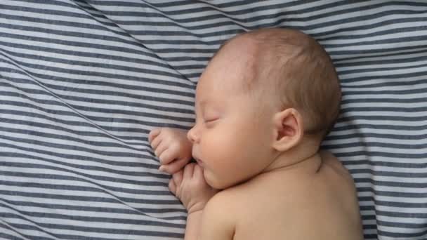 Новорожденный ребенок спит на одеяле — стоковое видео