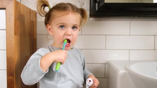 Mignon enfant brosse ses dents — Video