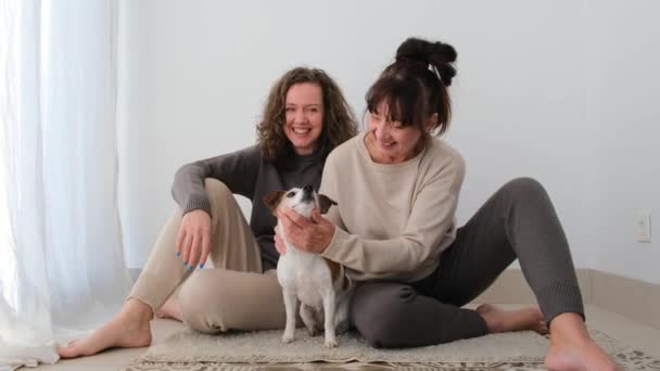 Ξυπόλητες γυναίκες κάθονται στο πάτωμα κοντά στο παράθυρο και κατοικίδιο ζώο μικρό σκυλί — Αρχείο Βίντεο