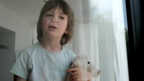 Rolig pojke med leksak pressar näsan till fönsterglas i rummet — Stockvideo