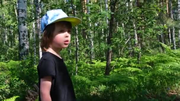 Niño pequeño con camiseta negra y gorra en el bosque verde — Vídeo de stock