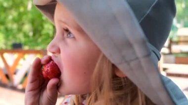 Küçük kız kırmızı çilek yiyor, yakın plan ısırıp çiğniyor.