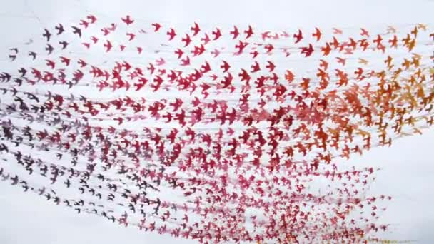 Décoration conçue avec de petits oiseaux rouges agités par le vent léger — Video