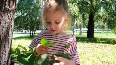 İlgili sarışın küçük kız ağaçtaki yeşil yaprakları inceliyor.