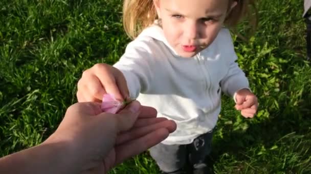 Kleines blondes Mädchen mit Zöpfen schenkt Vater rosa Blume — Stockvideo