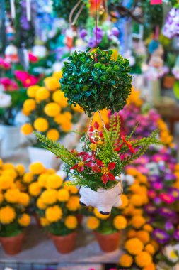 Çiftlik ev dekorasyon.