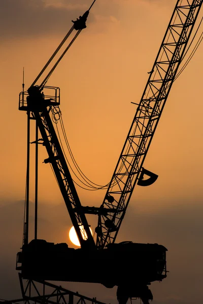Cranes with the sunset,close-up. — Stock Photo, Image