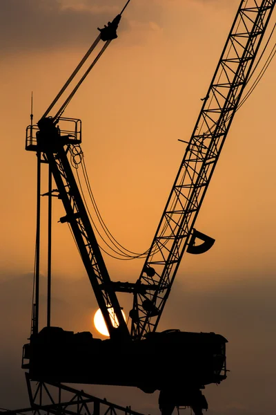 Kraniche mit dem Sonnenuntergang, Nahaufnahme. — Stockfoto