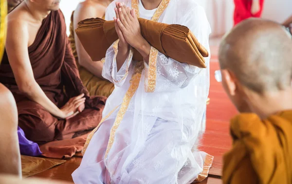 Крупний план з нещодавно висвячений буддійським ченцем Моліться з священик Диспетчер завдать — стокове фото