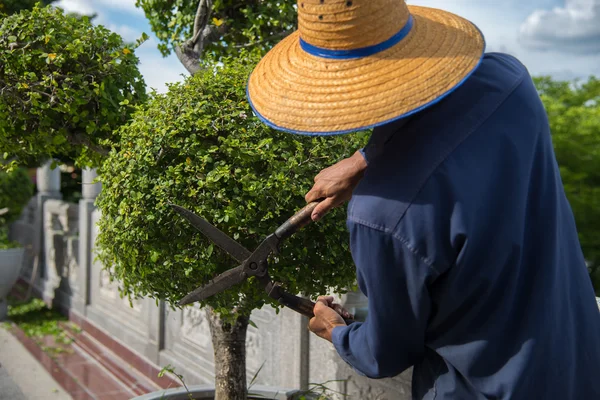 La gente está trabajando con árboles decorados . — Foto de Stock