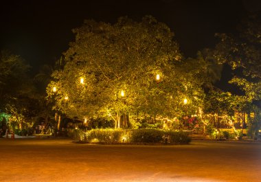 Süslemek için ağaca tutunan fenerler.