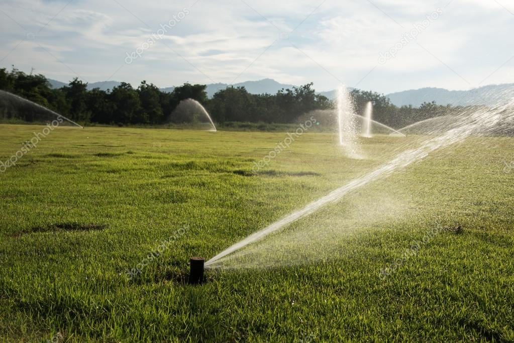 Watering plants in the garden