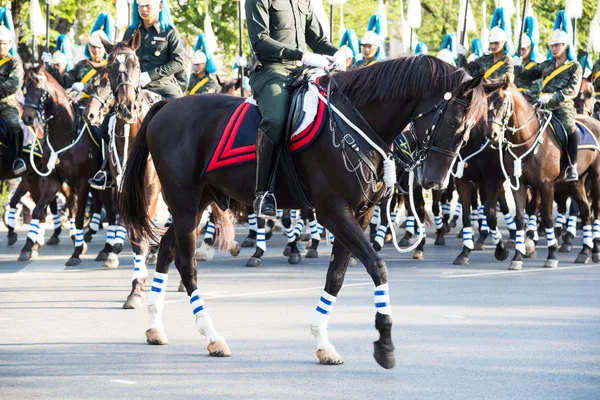 Desfile de guardias de caballos —  Fotos de Stock