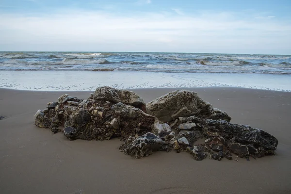 Plaża skały — Zdjęcie stockowe