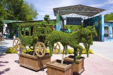 Uman, Ukrayna - 20 Temmuz 2020: Uman, Ukrayna 'da 