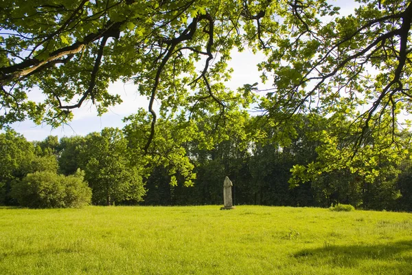 Vue Béatifique Parc Dendrologique National Sofiyivka Dans Une Journée Ensoleillée — Photo