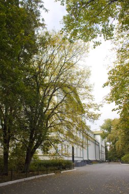 Nezhinsky Devlet Üniversitesi adını Ukrayna 'nın Nizhyn kentinde Golol' dan almıştır.