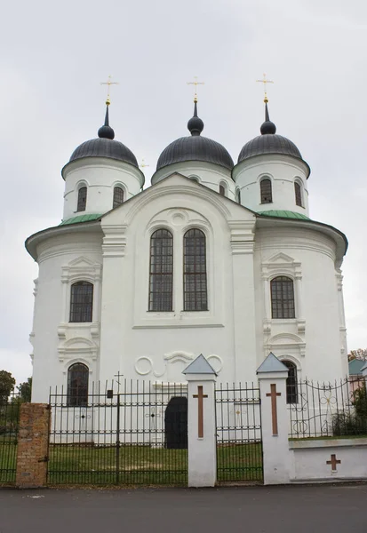 Klasztor Zwiastowania Pańskiego Niżynie Ukraina — Zdjęcie stockowe