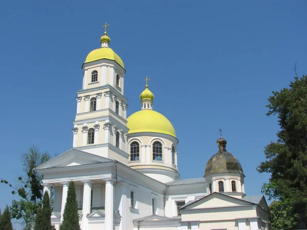 Kirche Maria Magdolin Belaya Tserkov Ukraine — Stockfoto