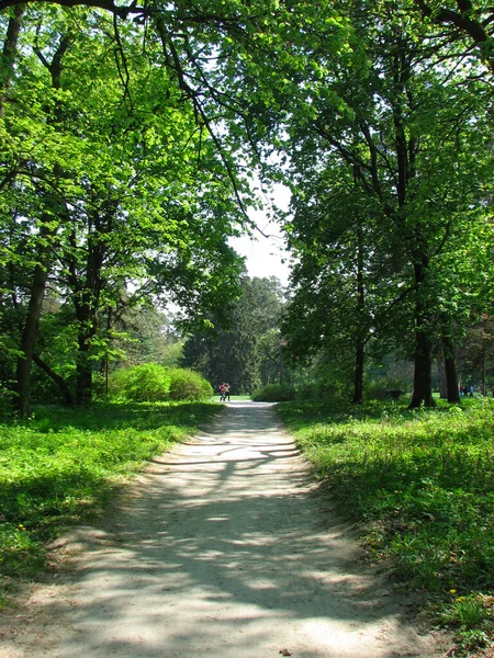 Park Alexandrië Belaya Tserkov Oekraïne — Stockfoto