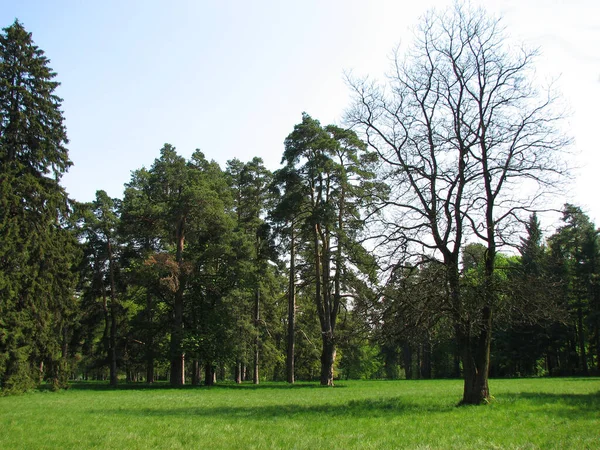 Parc Alexandrie Belaya Tserkov Ukraine — Photo