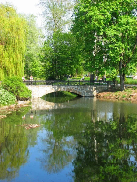 See Mit Brücke Arboretum Park Alexandria Belaya Tserkov Ukraine — Stockfoto