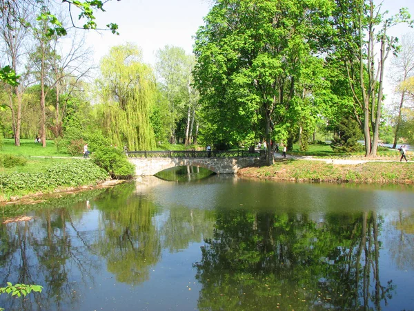 Jezioro Mostem Arboretum Parku Aleksandria Belaya Tserkov Ukraina — Zdjęcie stockowe