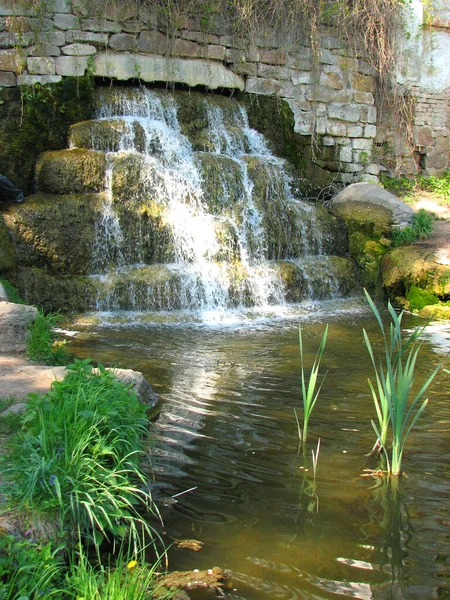 Wodospad Arboretum Parku Aleksandria Ukraina — Zdjęcie stockowe