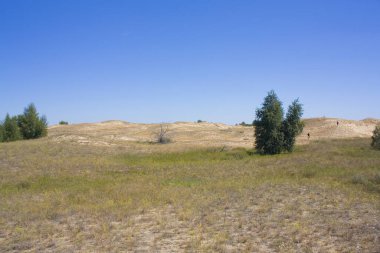 Ukrayna 'nın Kherson Bölgesindeki Oleshkiv Sands Ulusal Doğa Parkı