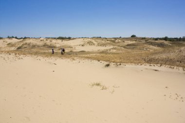Ukrayna 'nın Kherson Bölgesindeki Oleshkiv Sands Ulusal Doğa Parkı