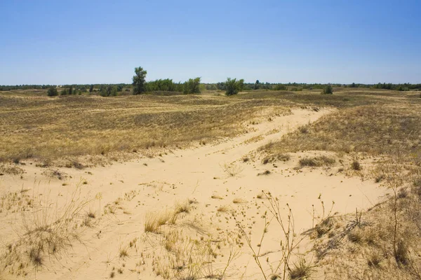 Oleshkiv Sands National Nature Park Región Kherson Ucrania — Foto de Stock