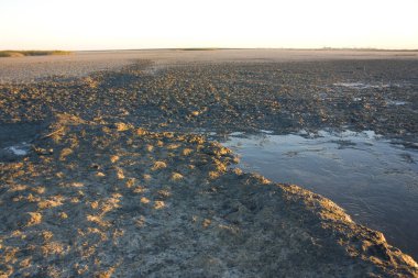 Sivash Gölü 'nde çamur banyosu, Kherson Oblastı, Ukrayna