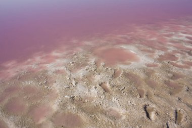 Güzel pembe Sivash Gölü, Kherson Oblastı, Ukrayna