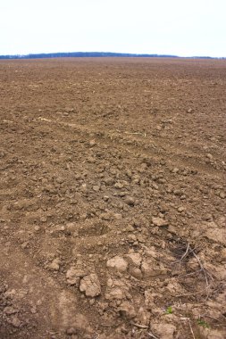 Bahar günü sürülmüş tarlalar