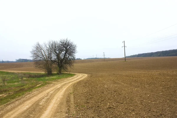 Paisagens Rurais Com Campo Arado — Fotografia de Stock