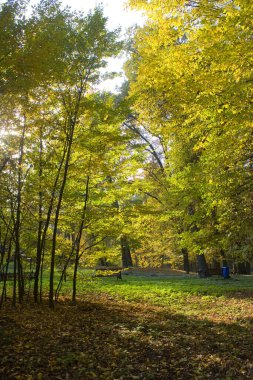 Bucha, Ukrayna 'daki sonbahar parkı