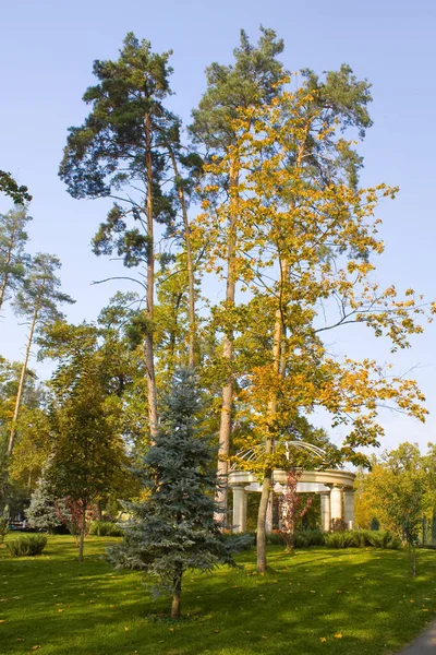 Gazebo Jesiennym Parku Bucha Ukraina — Zdjęcie stockowe